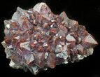 Thunder Bay Amethyst Cluster With Hematite #46297-1